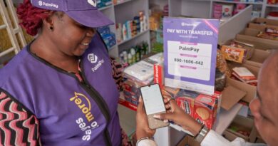 Profitable African fintech PalmPay is in talks to raise as much as $100M | TechCrunch