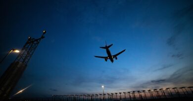 plan flying at dusk
