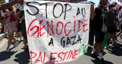 Protesters slam war profiteering, Israel at French air fair
