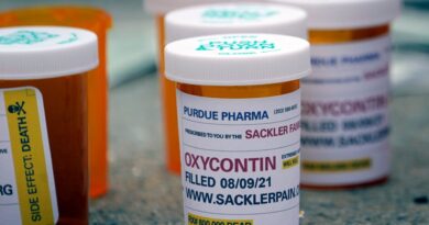 Purdue Pharma $7.4bn opioid settlement wins broad support from US states