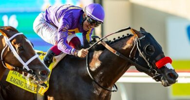 Raging Torrent Is A Horse That Packs His Track