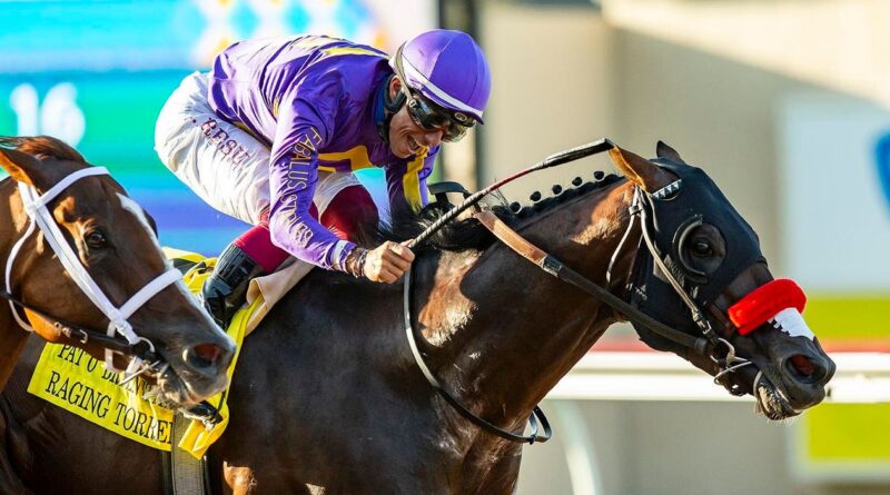 Raging Torrent Is A Horse That Packs His Track
