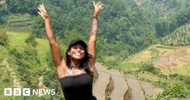 Rinjani: Rescuers search for Brazilian tourist Juliana Marins on Indonesian volcano