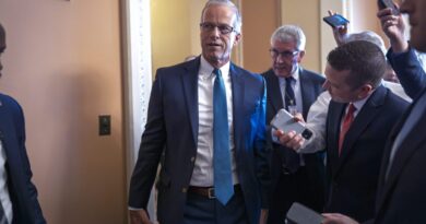 Senate eyes key vote on Trump's tax bill, while Musk calls it 'utterly insane and destructive'