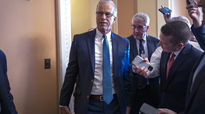 Senate eyes key vote on Trump's tax bill, while Musk calls it 'utterly insane and destructive'