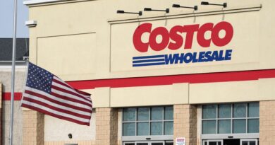 Sorry, you can't use your Costco membership card to get through TSA