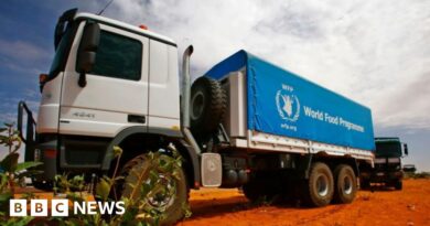 Sudan conflict: Five killed after UN aid trucks attacked en route to el-Fasher