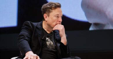 Tesla CEO Elon Musk has sold a compelling robotaxi vision. Execution is next.