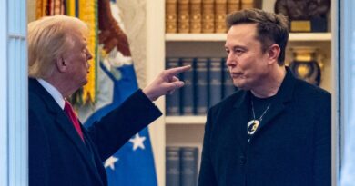 The Trump-Musk feud is painfully awkward for the GOP