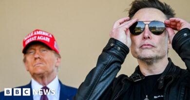 Trump and Musk enter bitter feud - and Washington buckles up