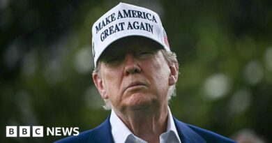 Trump approves Iran attack plan but has not made final decision, reports say