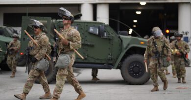 Trump-deployed National Guard arrives in LA to crush immigration protests