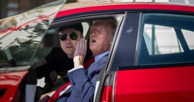 Trump is considering selling his Tesla after feuding with Elon Musk