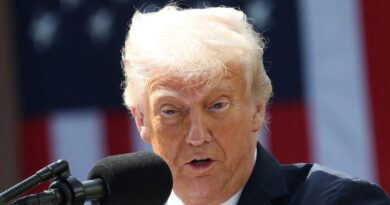 Trump says number of 'non-working holidays' in America 'must change' in Juneteenth social media post