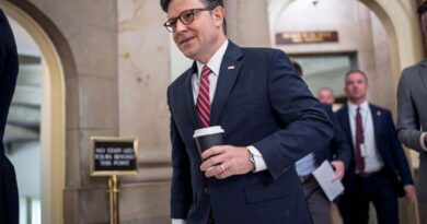 Trump’s Spending Bill: Senate Votes On ‘Big, Beautiful Bill’ Today As Musk Slams Proposal