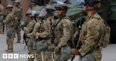 Trump's quick intervention in LA may thrill his base but inflame tensions