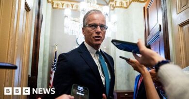 Trump's 'Big Beautiful Bill' hangs in balance as three Republicans defect