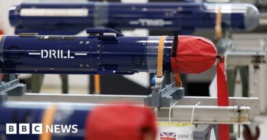 UK defence review to send 'message to Moscow' – Healey