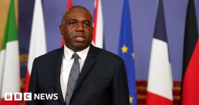 UK preparing to charter flights from Israel, David Lammy says