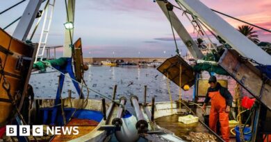 UK proposes wider ban on destructive bottom trawling