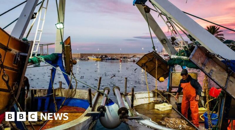 UK proposes wider ban on destructive bottom trawling
