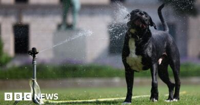UK weather: Temperatures to hit 33C for hottest two days in a row
