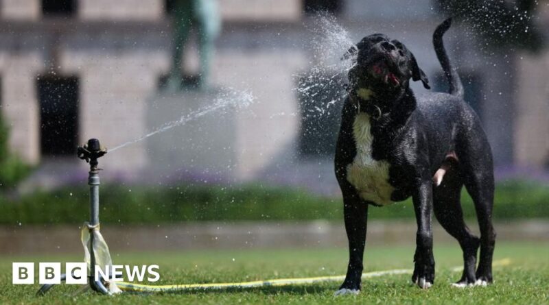 UK weather: Temperatures to hit 33C for hottest two days in a row