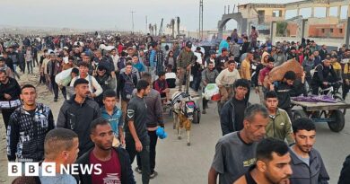 UN calls for investigation into killings near Gaza aid site