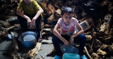 UN chief calls for probe into deaths near Gaza aid site
