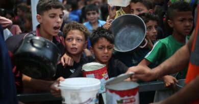 UN condemns 'weaponisation of food' in Gaza
