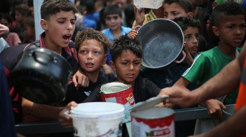 UN condemns 'weaponisation of food' in Gaza