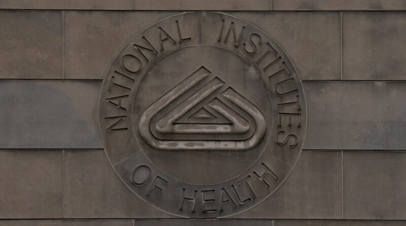 US judge declares Trump’s cuts to NIH grants ‘illegal’