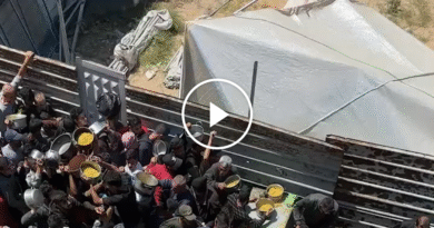 Video: Inside the Struggle to Find Food in Gaza