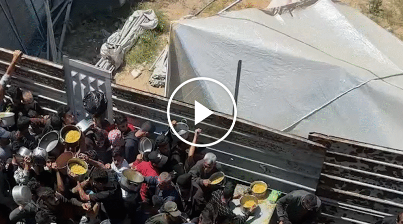 Video: Inside the Struggle to Find Food in Gaza