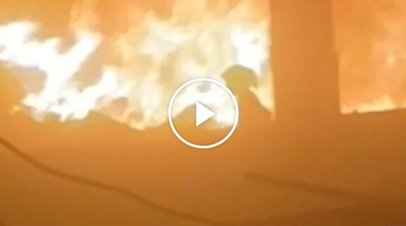 Video: ‘Dear Girl, Get Out!’: A Young Palestinian Escapes an Israeli Strike