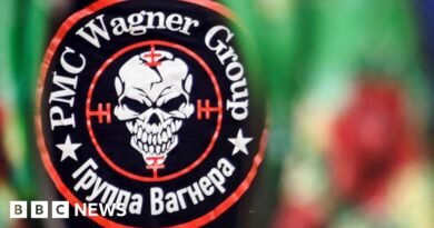 Wagner Group to withdraw from Mali after 'completing mission'