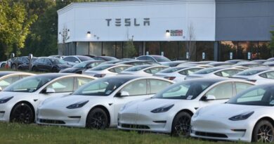 Want to dodge tariffs and buy an all-American car? A Tesla remains your best bet.