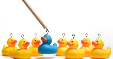 Image of a hook capturing a blue duck to represent recruiting talent for engineering roles.