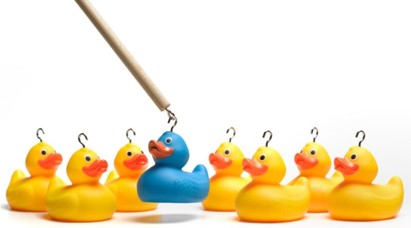 Image of a hook capturing a blue duck to represent recruiting talent for engineering roles.