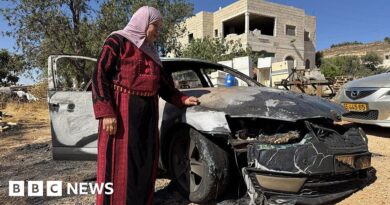 West Bank: Three Palestinians killed during Israeli settler attack