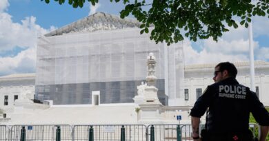 What cases did the US Supreme Court decide at the end of its 2024 term?