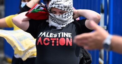 What is the Palestine Action group, and why is the UK banning it?