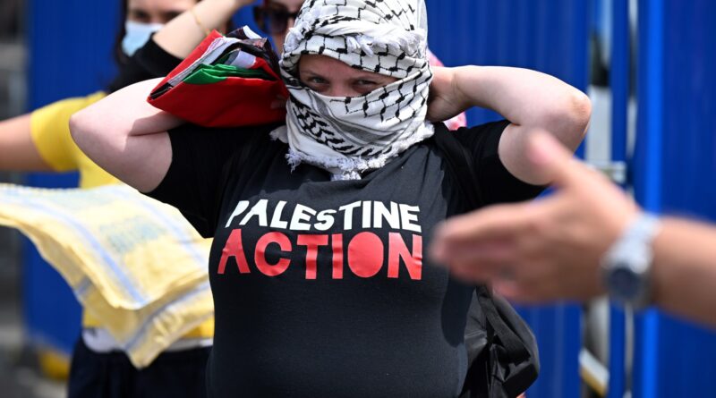 What is the Palestine Action group, and why is the UK banning it?