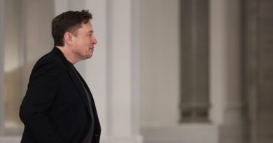 What's really fueling Elon Musk's latest outburst against Trump's tax bill?