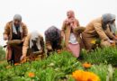 Why Beauty ROI Is Driven By Social Conscience And Sustainability