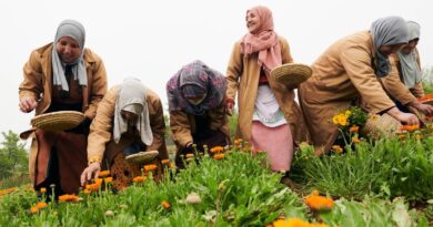 Why Beauty ROI Is Driven By Social Conscience And Sustainability