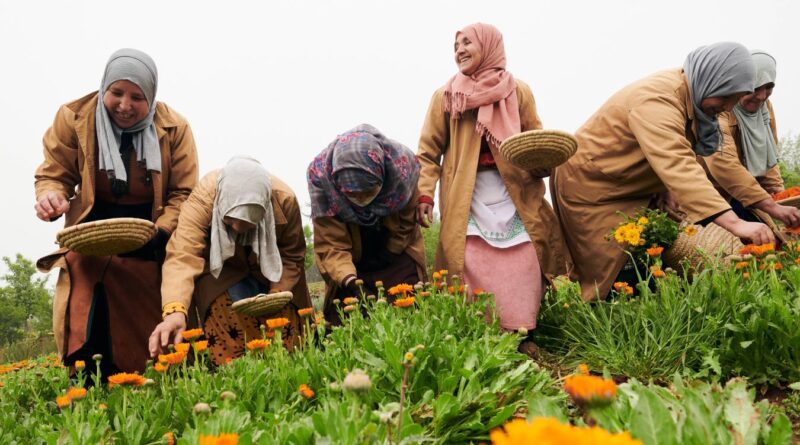 Why Beauty ROI Is Driven By Social Conscience And Sustainability