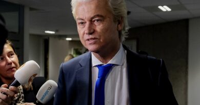Why did the Dutch government collapse and what’s next?