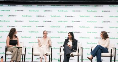 Why investing in growth-stage AI startups is getting riskier and more complicated | TechCrunch