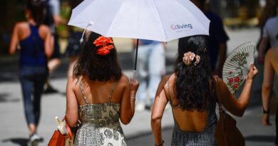 Wildfire risks as climate change fuels extreme heatwave in Southern Europe